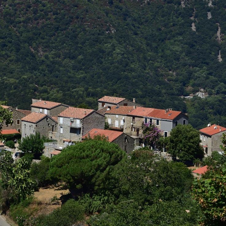 Outdoor terrace seating suitable for families in Toronto